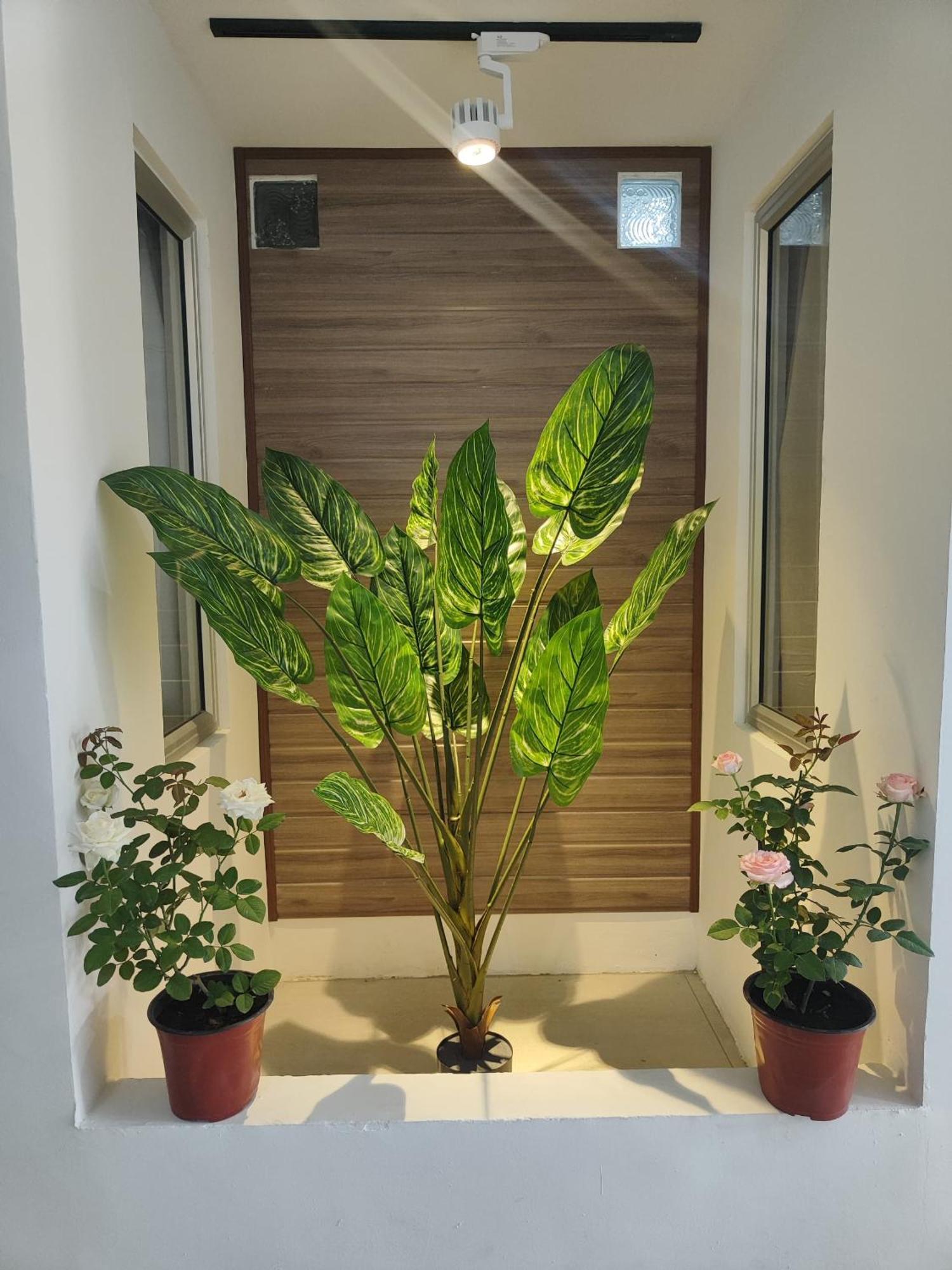 טאוואו Greenery Rooms מראה חיצוני תמונה